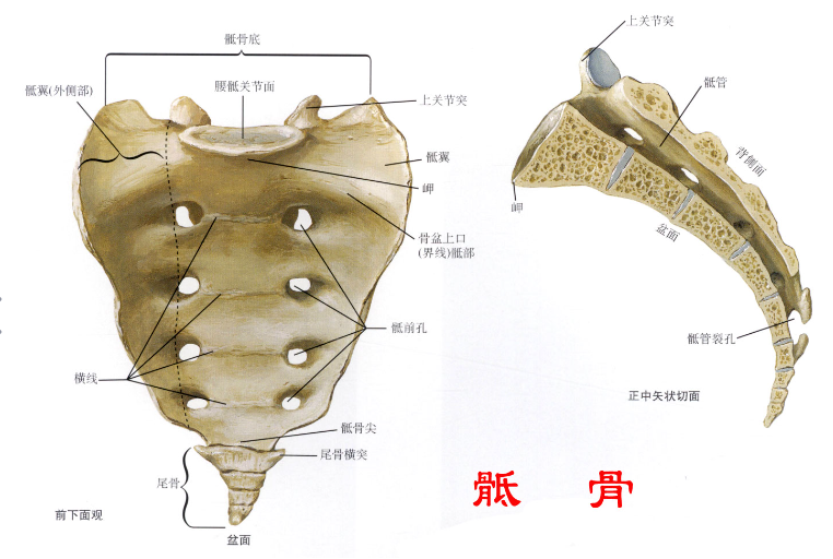 邵阳创伤骨科,邵阳风湿病区,邵阳骨质增生,邵阳关节病区,邵阳颈椎病区