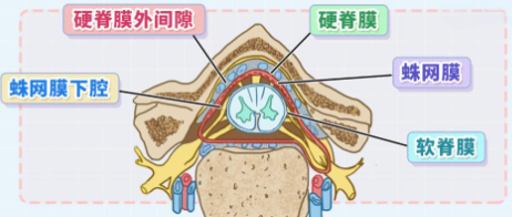 邵阳创伤骨科,邵阳风湿病区,邵阳骨质增生,邵阳关节病区,邵阳颈椎病区